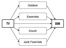 Path analysis graph