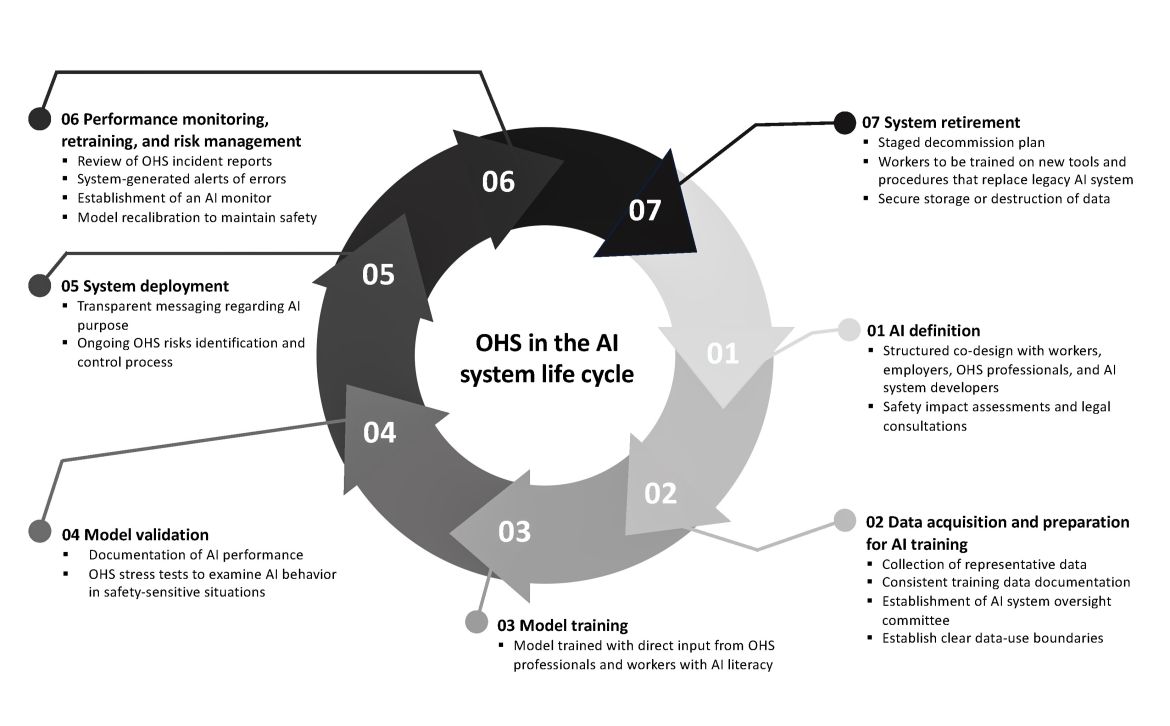 Figure showing the health and safety considerations at each of the 7 stages along AI's lifecycle.