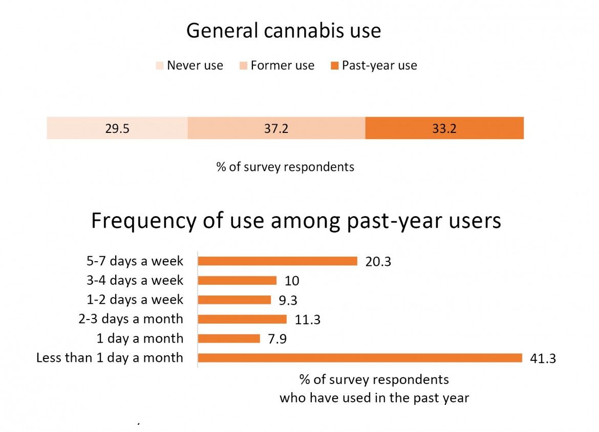 Two graphs. The first graph is on general cannabis use. It shows about one third of survey respondents used cannabis in the past year, a third reported former use, and a third never used. The second graph is on the frequency of use among past-year users. Its shows the largest share of respondents who have used in the past year, 41.3 per cent, used less than one day a month. But the second largest portion, 20.3 per cent, used five to seven days a week.