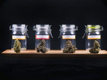 cannabis_jars_shadow Thumbnail