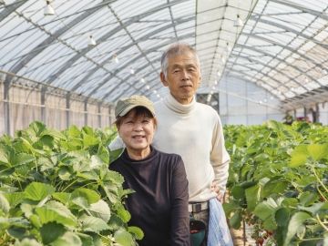 greenhouse_senior_workers Thumbnail