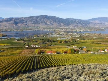 A vista of a small town in British Columbia