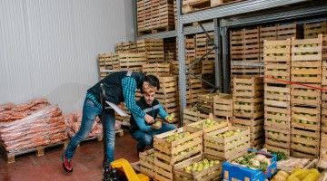 Two male workers assemble vegetable crates in a warehouse