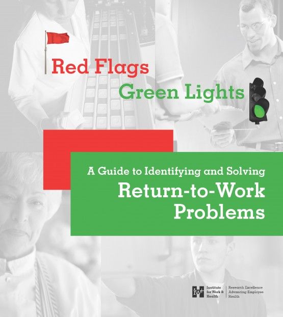 Cover of Red Flags and Green Lights guide, using red and green to highlight the type