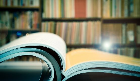 evidence_library_journal Thumbnail