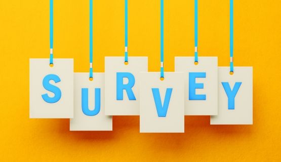 Hanging letters spell out "survey" against a yellow background