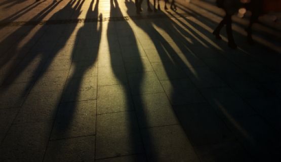 Long shadows cast by a row of workers