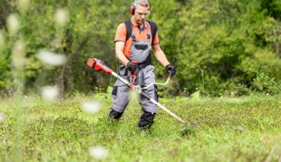 A landscape worker cutting grass.